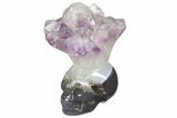 Polished Agate Skull with Amethyst Crown #148214-1